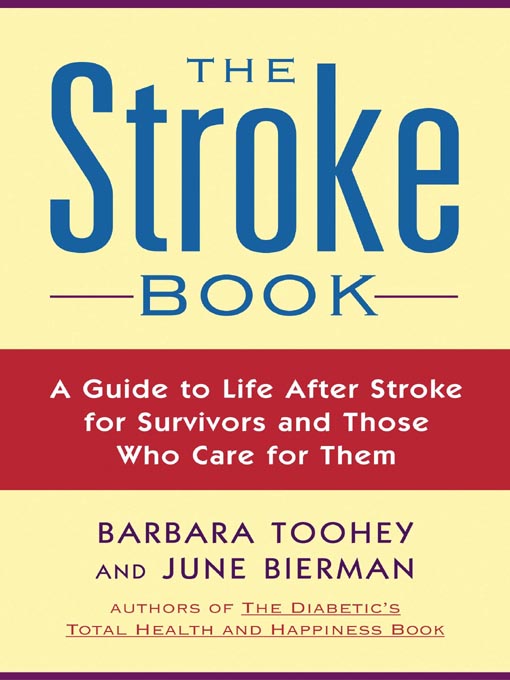 Title details for The Stroke Book by June Biermann - Available